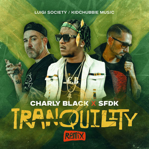 Portada de Tranquility (Remix)