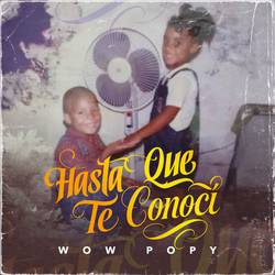 Portada de Hasta Que Te Conocí