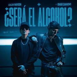 Portada de ¿SERÁ EL ALCOHOL?