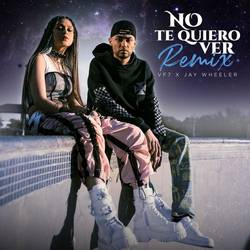Portada de No Te Quiero Ver (Remix)
