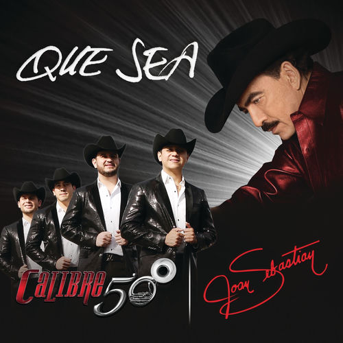 Portada de Que Sea