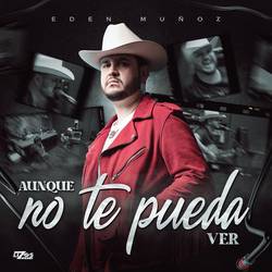 Portada de Aunque No Te Pueda Ver