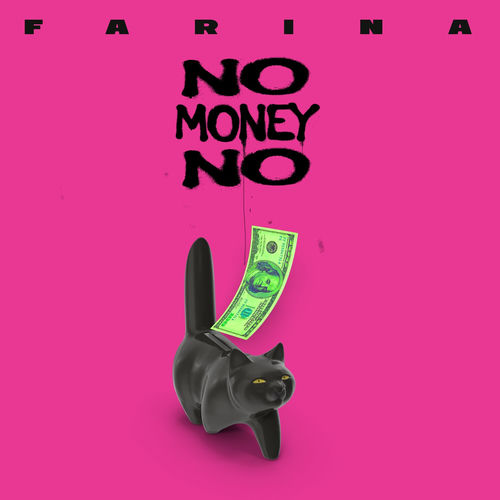 Portada de No Money No