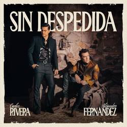 Portada de Sin Despedida