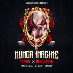 Portada de Nunca Imagine