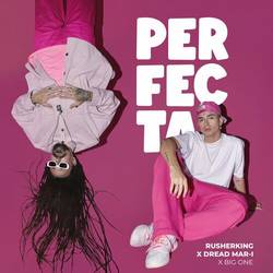 Portada de Perfecta