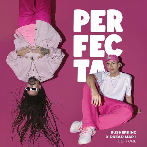 Portada de Perfecta