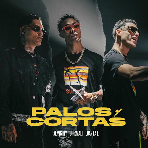 Portada de Palos Y Cortas