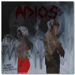 Portada de Adiós
