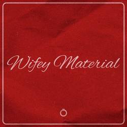 Portada de WIFEY MATERIAL