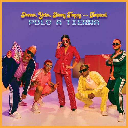 Portada de Polo A Tierra