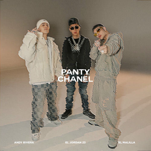 Portada de Panty Chanel