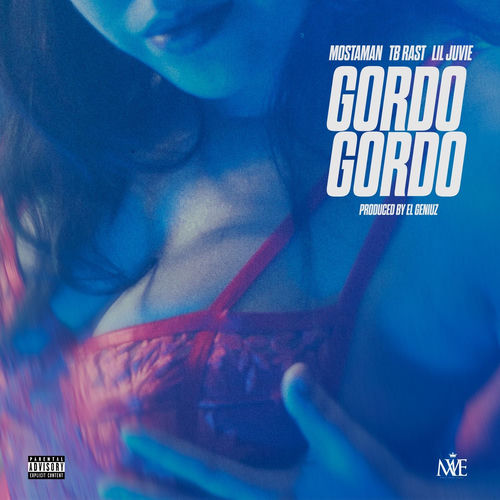 Portada de Gordo Gordo