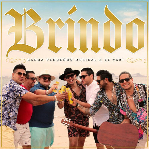 Portada de Brindo