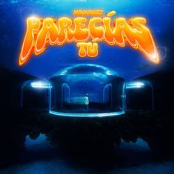 Portada de Parecías Tú