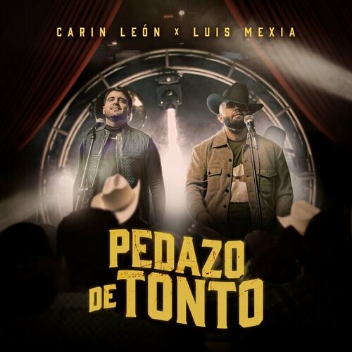 Portada de Pedazo De Tonto