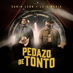 Portada de Pedazo De Tonto