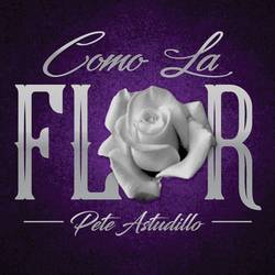 Portada de Como La Flor (Ballad)