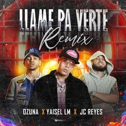 Portada de Llame Pa Verte (REMIX)