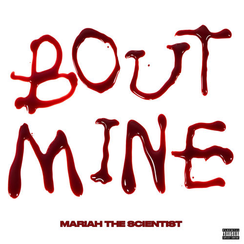 Portada de Bout Mine