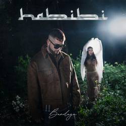 Portada de HABIBI