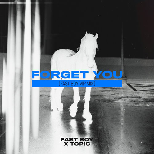 Portada de Forget You (FAST BOY VIP Mix)