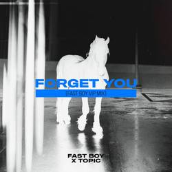 Portada de Forget You (FAST BOY VIP Mix)