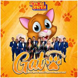Portada de Buscando Al Gato Desde El Auditorio Nacional / 62 Aniversario (Big Band En Vivo)