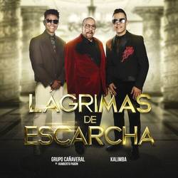 Portada de Lágrimas De Escarcha