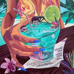 Portada de Vagabundo