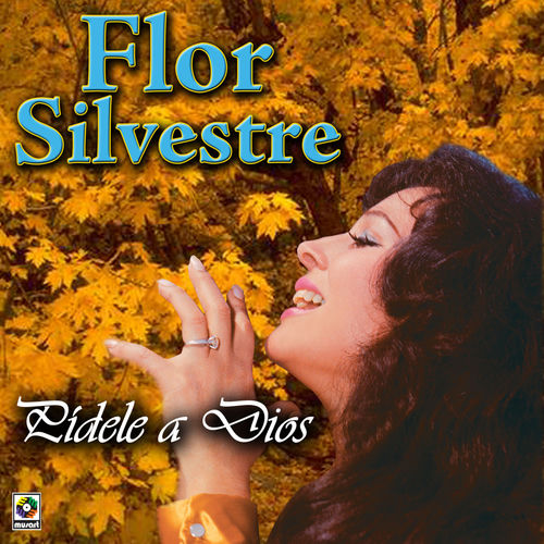 Portada de Pídele a Dios