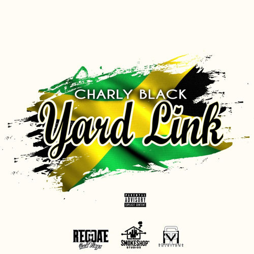Portada de Yard Link