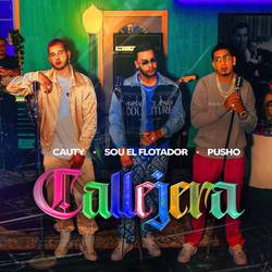 Portada de Callejera