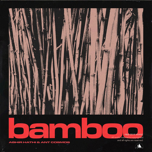 Portada de Bamboo