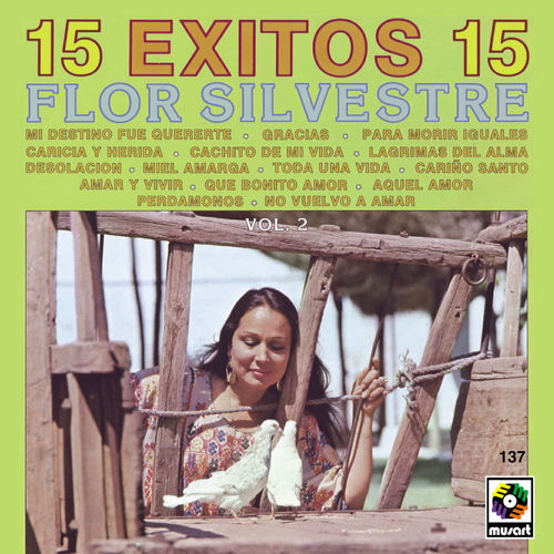 Portada de 15 Éxitos, Vol. 2