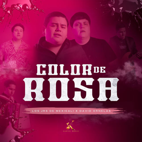 Portada de Color de Rosa
