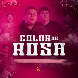 Portada de Color de Rosa