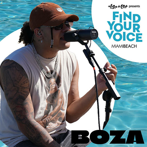 Portada de Find Your Voice Episode 1: Boza