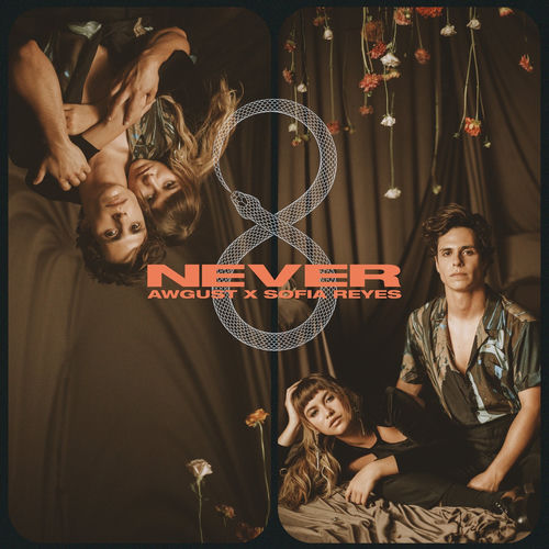 Portada de Never