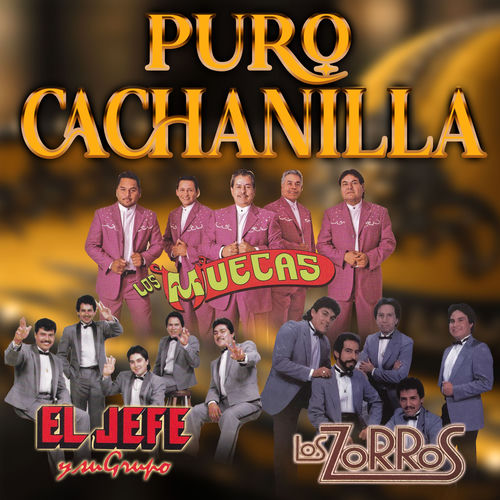 Portada de Puro Cachanilla