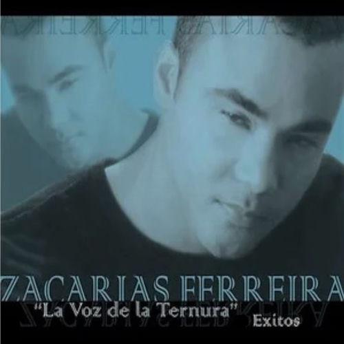 Portada de La Voz de la Tenura: Exitos