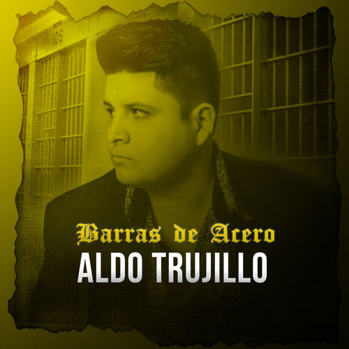 Portada de Barras de Acero