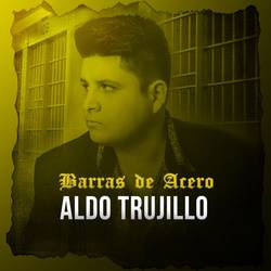 Portada de Barras de Acero