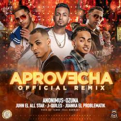 Portada de Aprovecha (Remix)