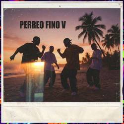 Portada de PERREO FINO V