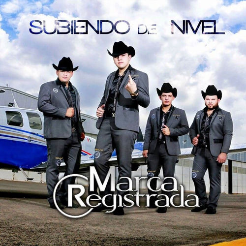 Portada de Subiendo De Nivel