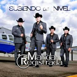 Portada de Subiendo De Nivel