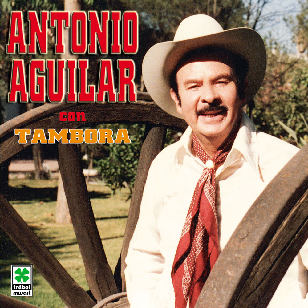 Portada de Mi Primer Amor