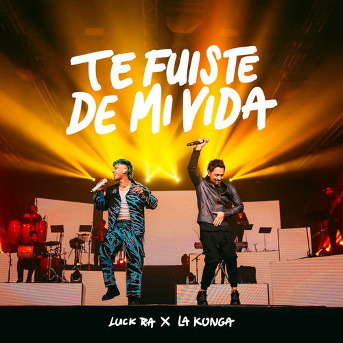 Portada de TE FUISTE DE MI VIDA