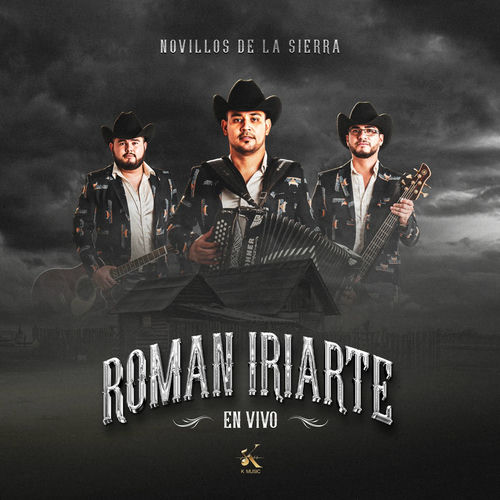 Portada de Roman Iriarte (En Vivo)
